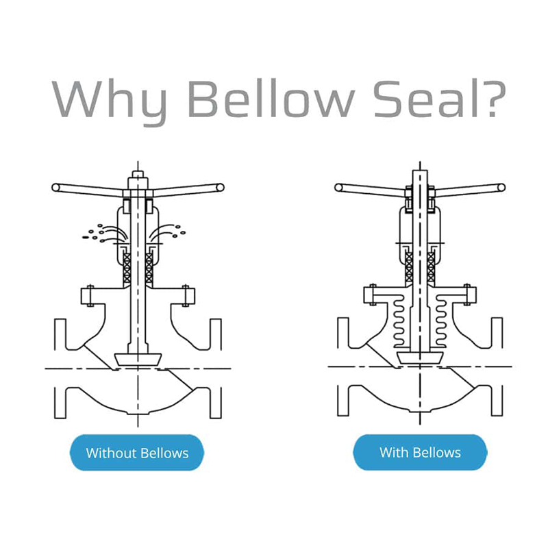 Bellows Sealed Valve