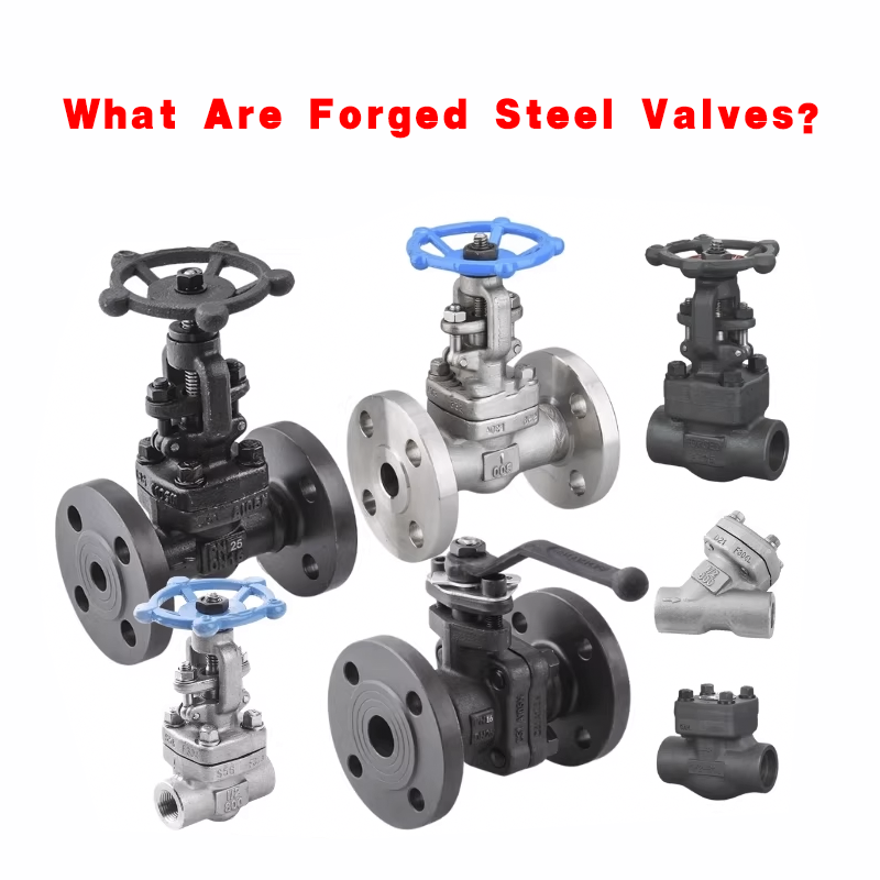 Forged Steel Valves