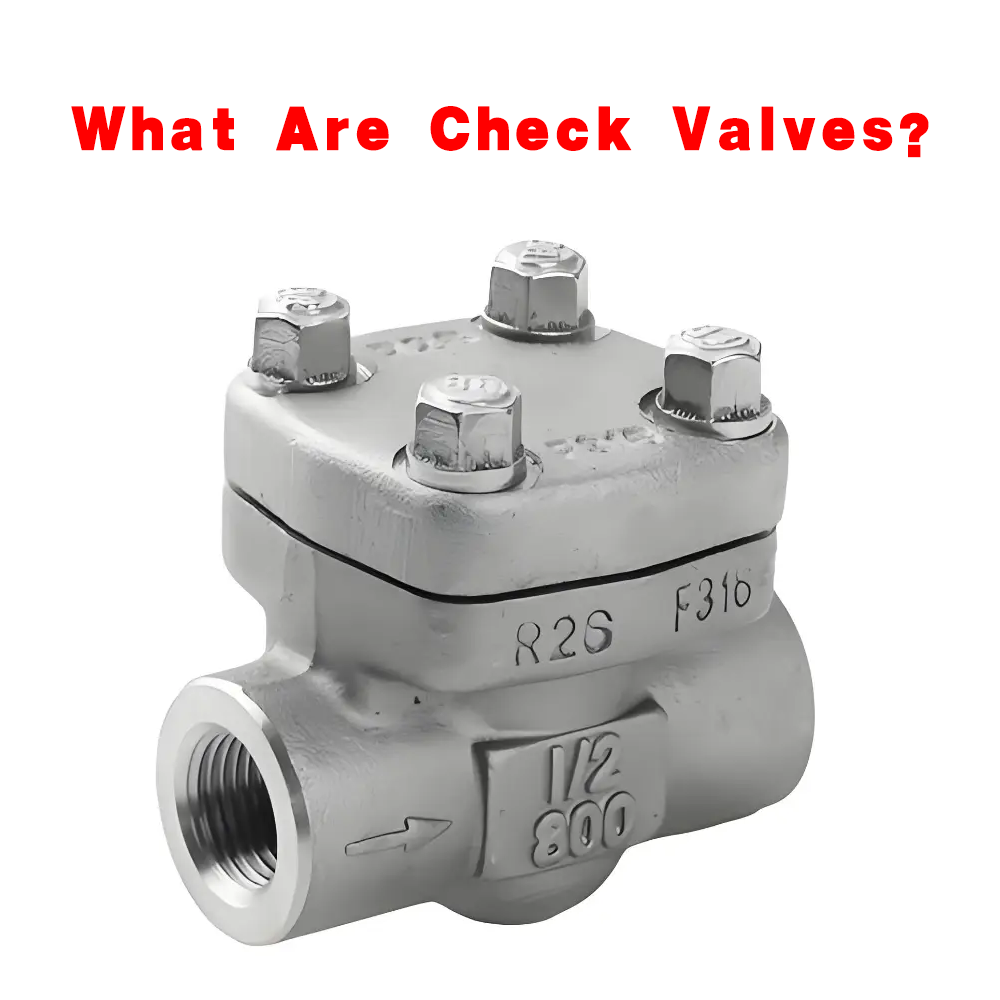 Forged Steel Check Valve