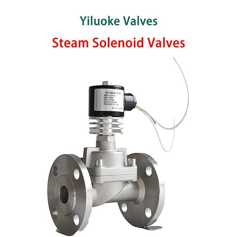 Steam Solenoid Valve