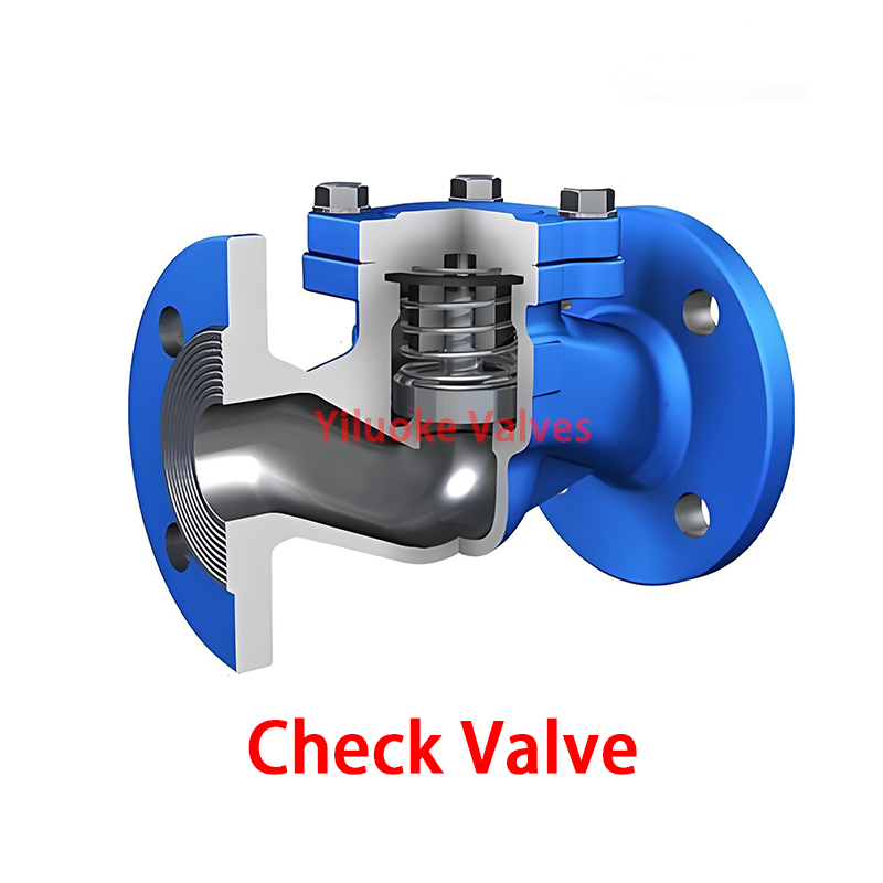 Check Valves