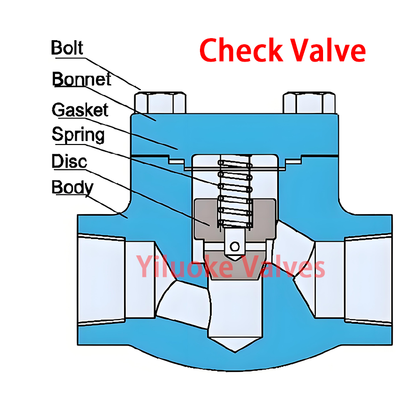 Check Valve