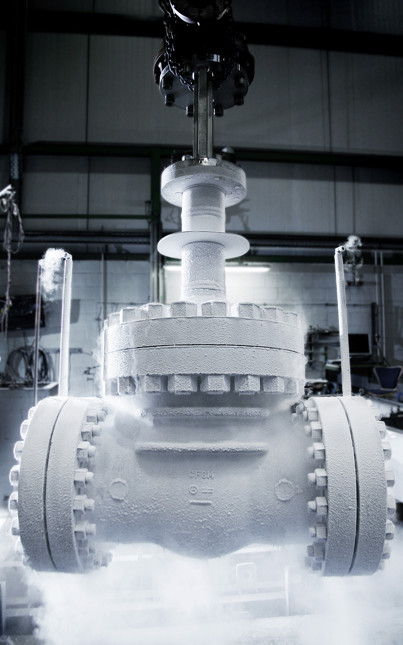 Cryogenic Valves