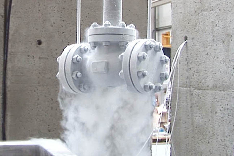 Cryogenic Valves