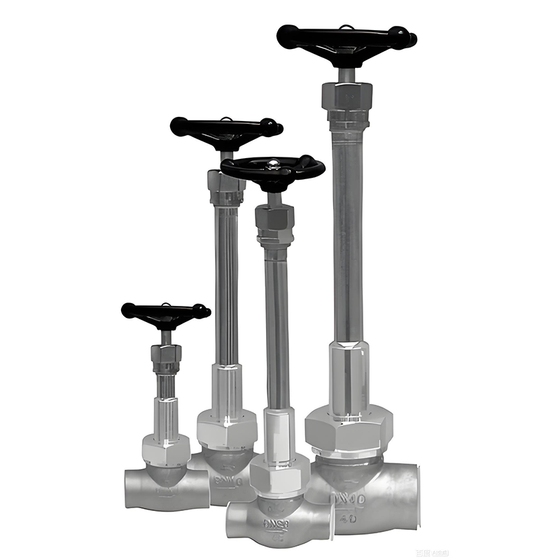 Cryogenic Globe Valves