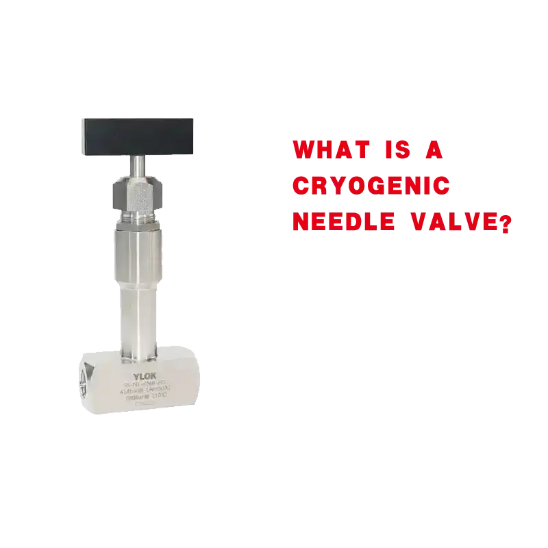 Cryogenic Needle Valve