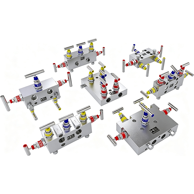 5 Valve Manifold