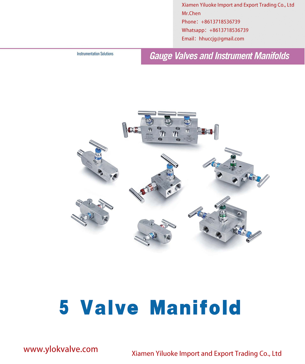 Technical Data of 5 Valve Manifold
