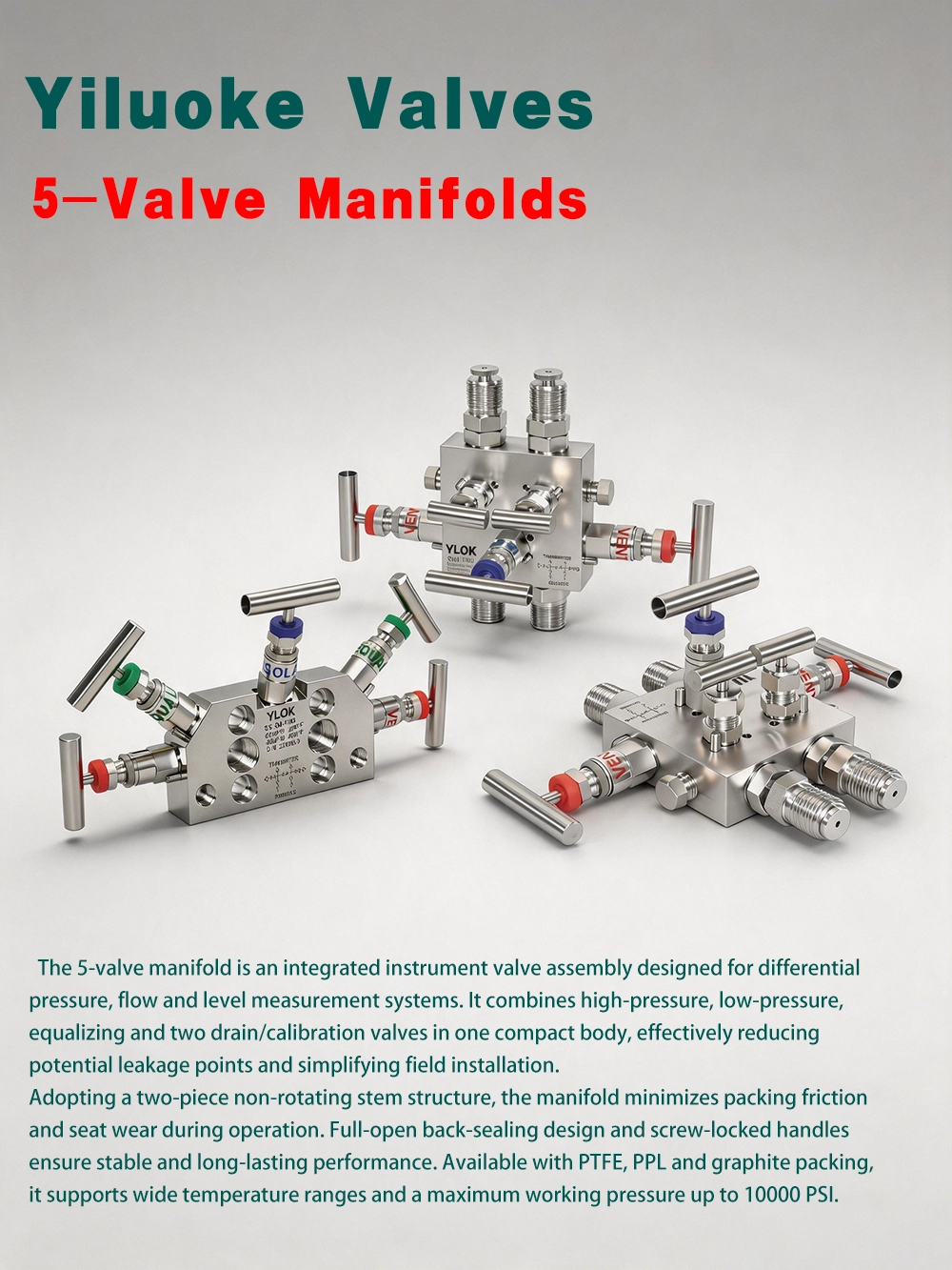5 Valve Manifolds