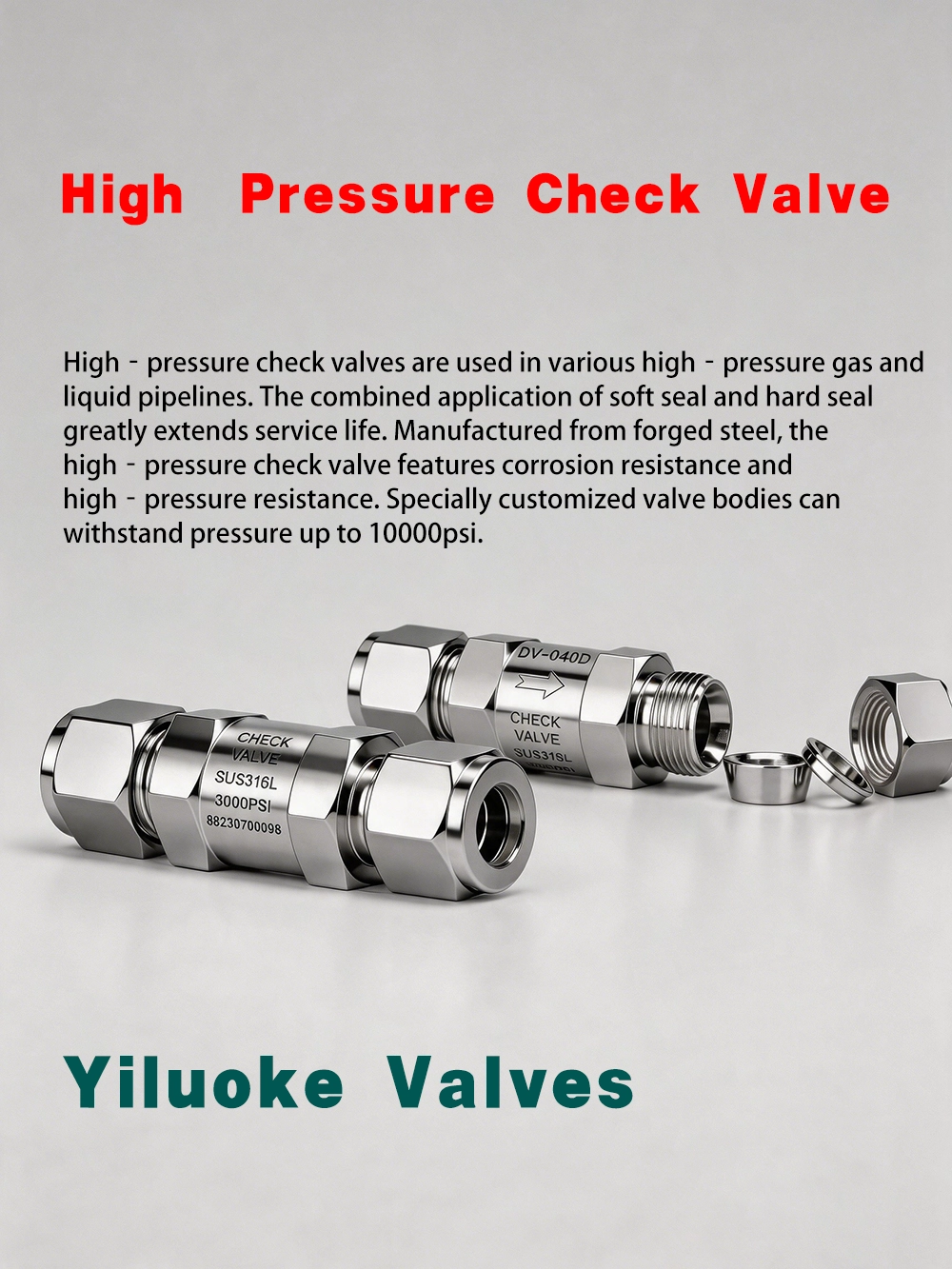 6000psi High Pressure Check Valves