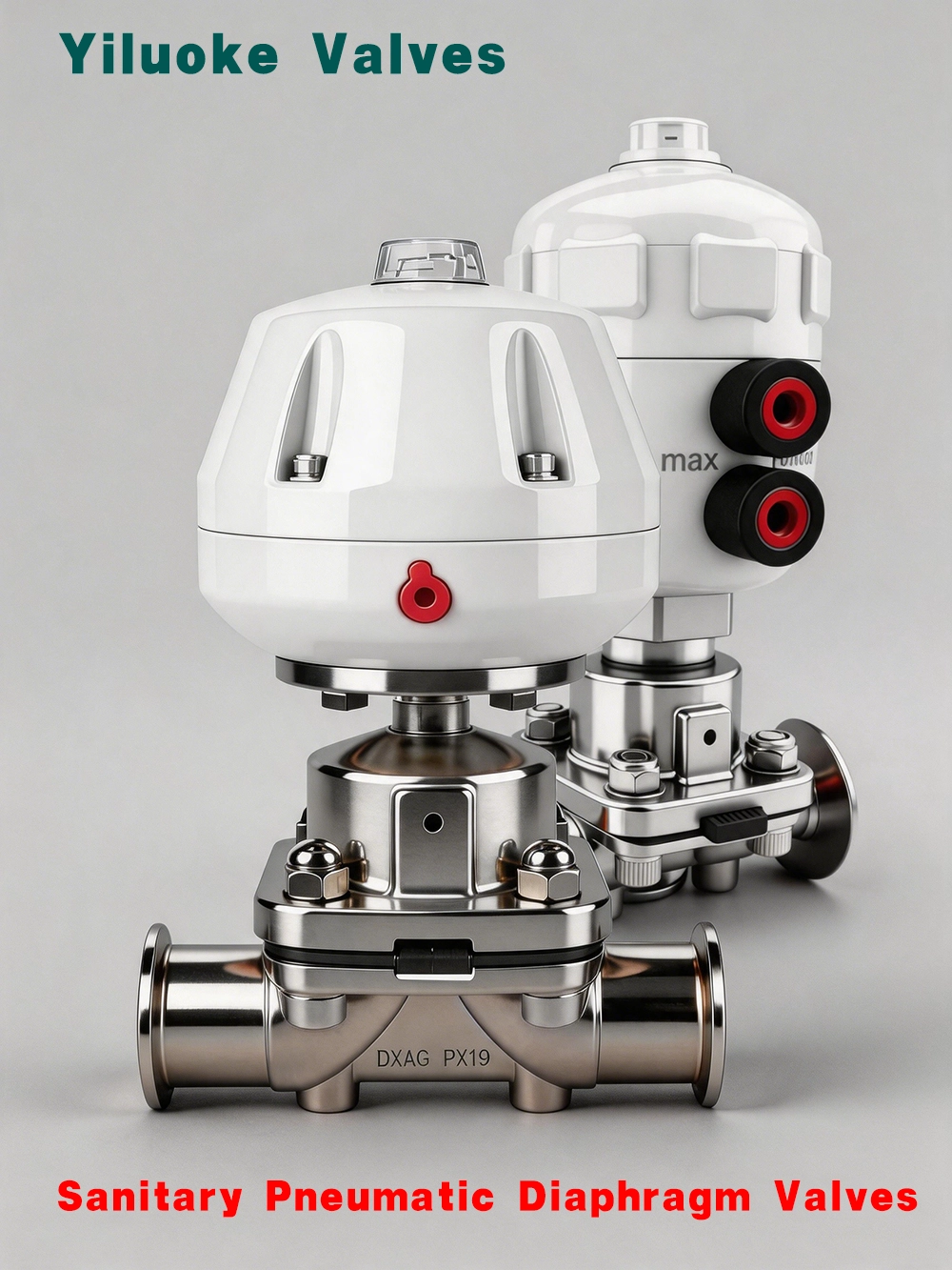 Sanitary Pneumatic Diaphragm Valves with Clamp Ends