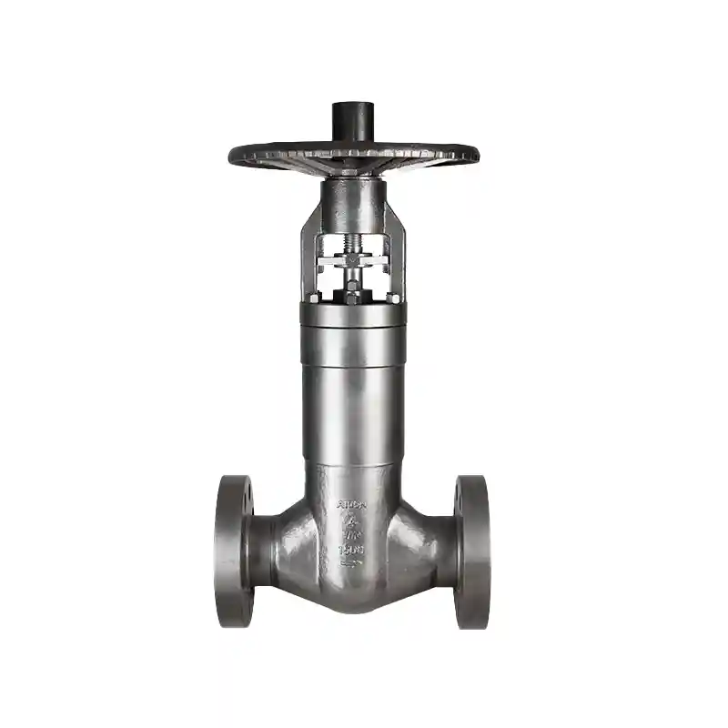 High-Temperature High-Pressure Bellows Sealed Globe Valve