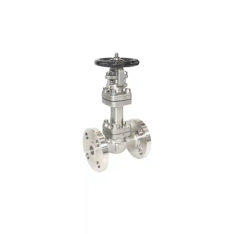 Forged Steel Bellows Sealed Globe Valve