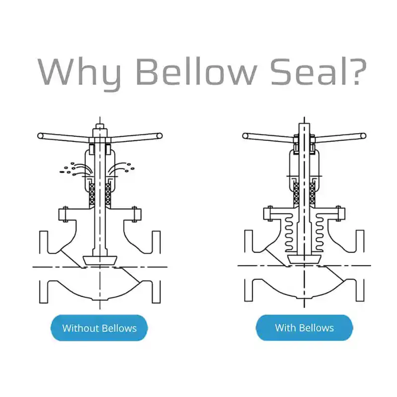 What is a Bellows Sealed Valve？