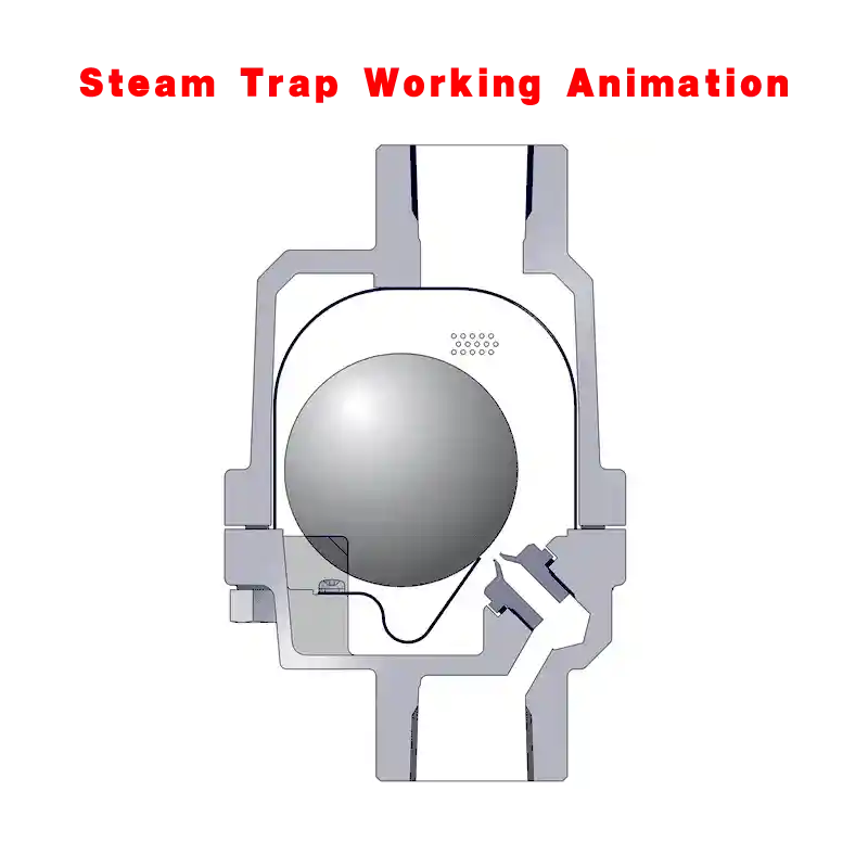 Free Float Steam Trap Working  Animation