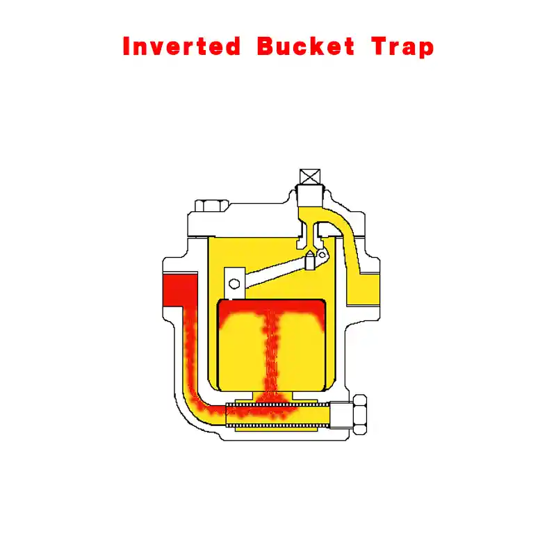 Inverted Bucket Steam Trap Working Principle