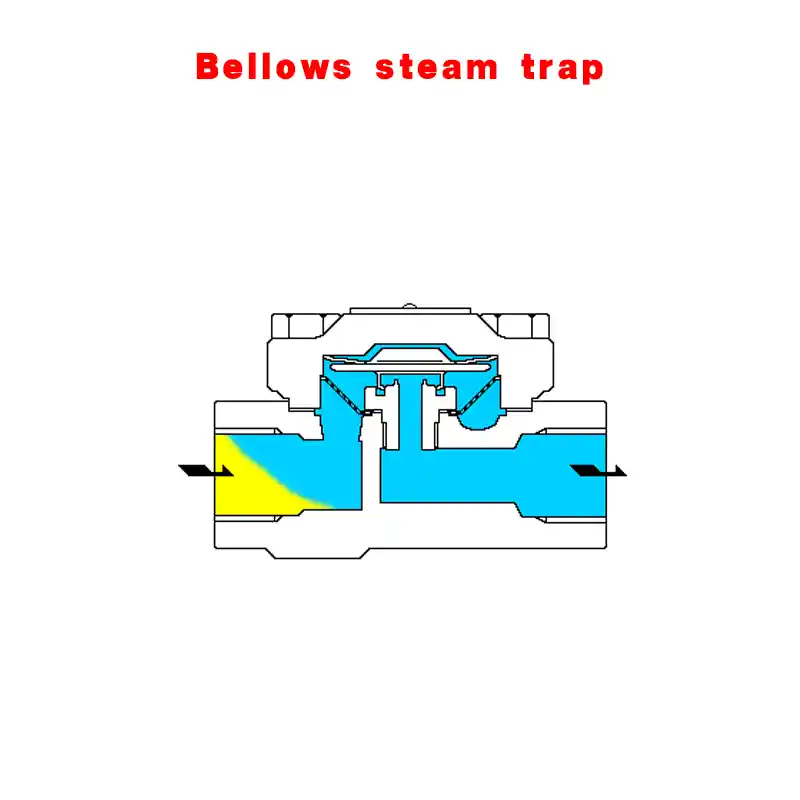 Bellows Steam Trap Working Principle
