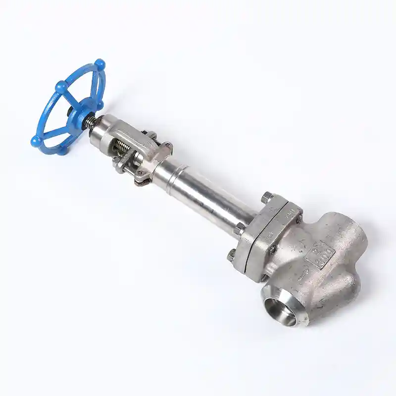 Forged Steel Cryogenic Globe Valve