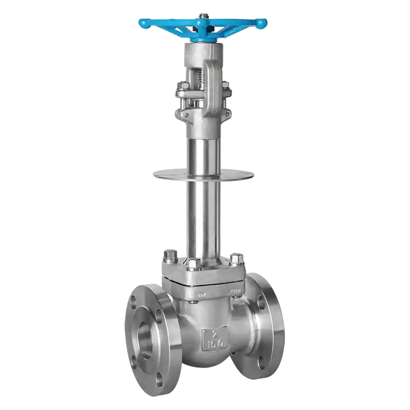 Forged Steel Cryogenic Gate Valve