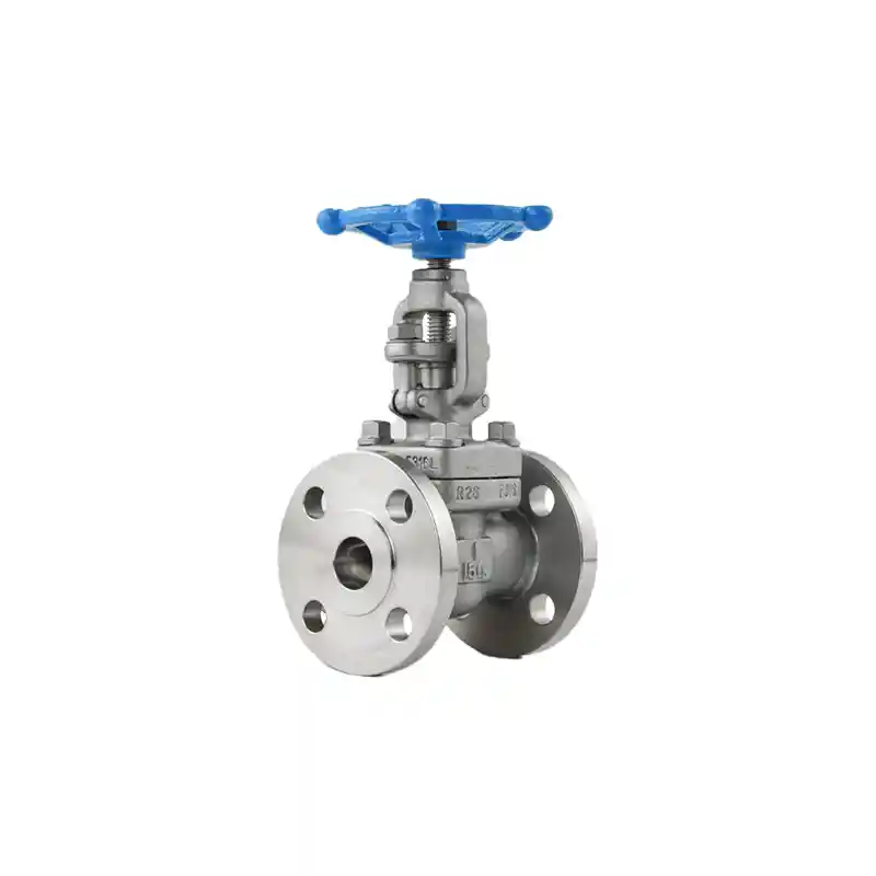 Forged Stainless Steel Globe Valve