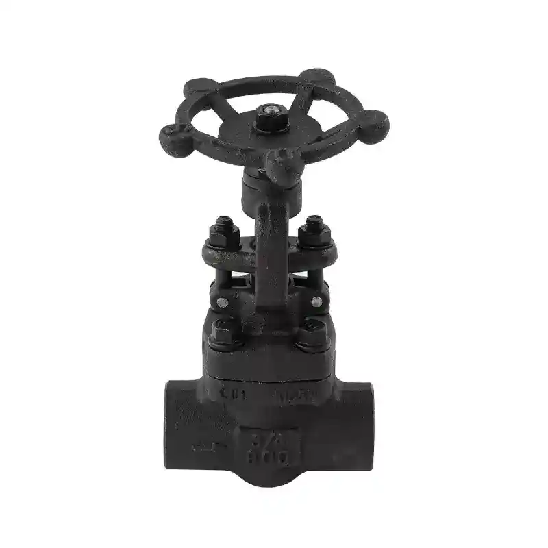 Internal Thread Forged Steel Globe Valve