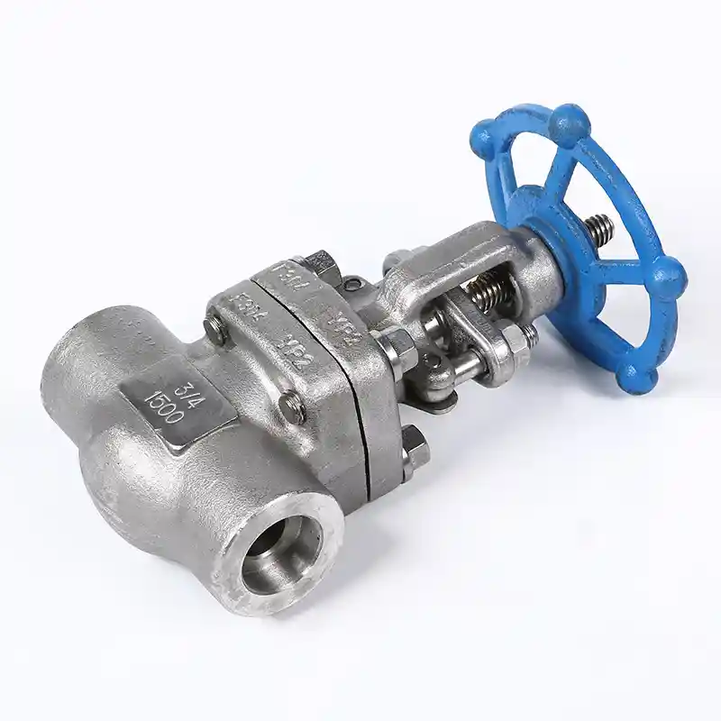 Forged Stainless Steel Gate Valve