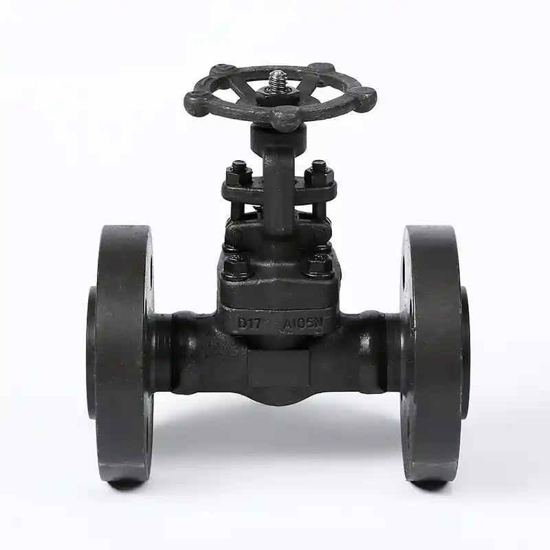 Flanged Forged Steel Gate Valve