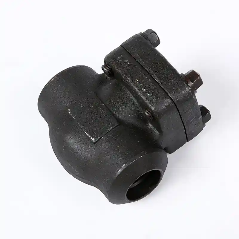 Internal Thread Forged Steel Check Valve