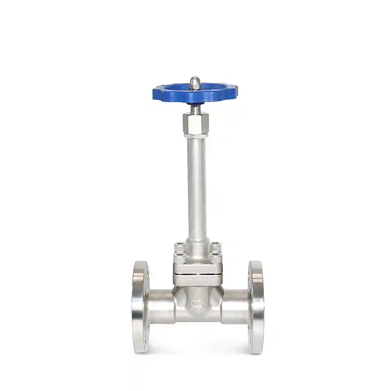 Cryogenic Globe Valve with flanged ends