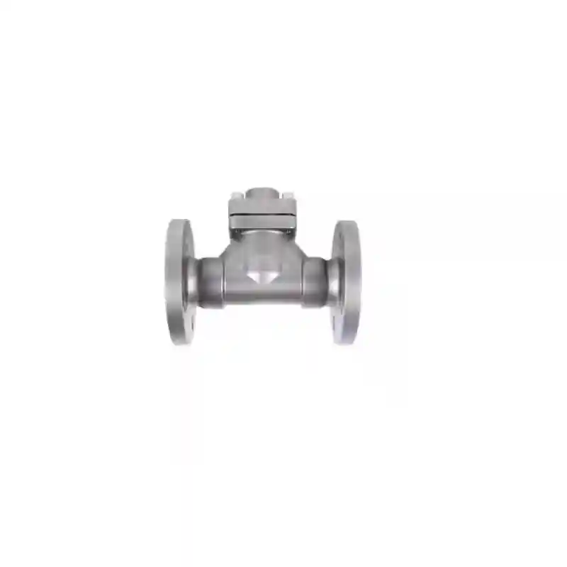Cryogenic Check Valve with flanged ends