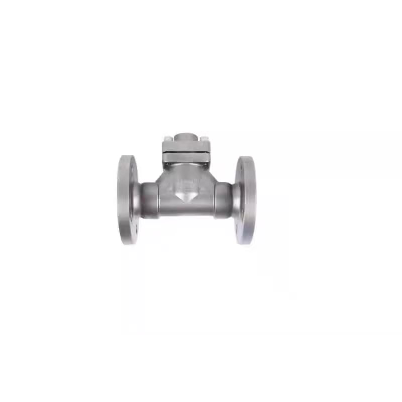 Cryogenic Check Valve with flanged ends