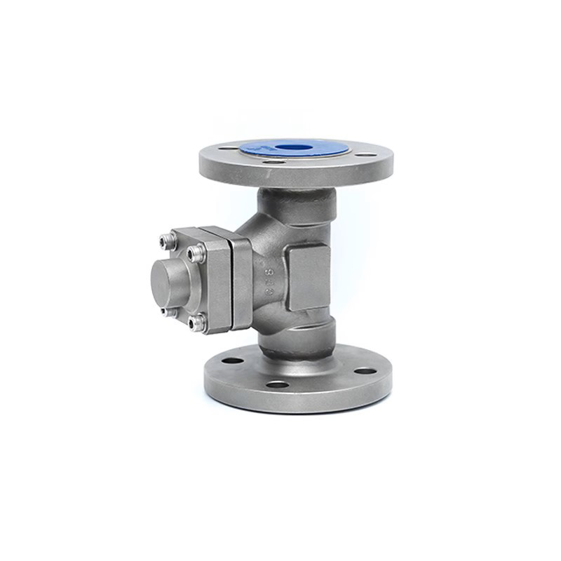 Cryogenic Check Valve with flanged ends