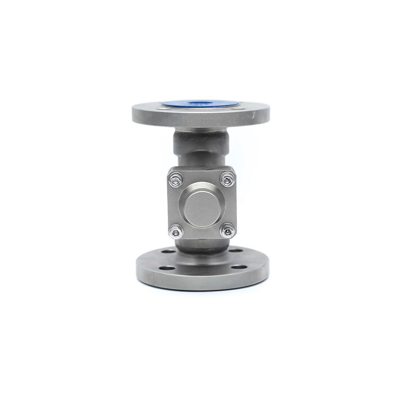 Cryogenic Check Valve with flanged ends