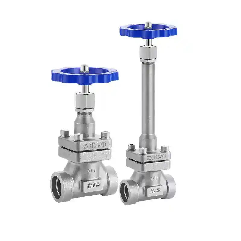 Cryogenic Globe Valves