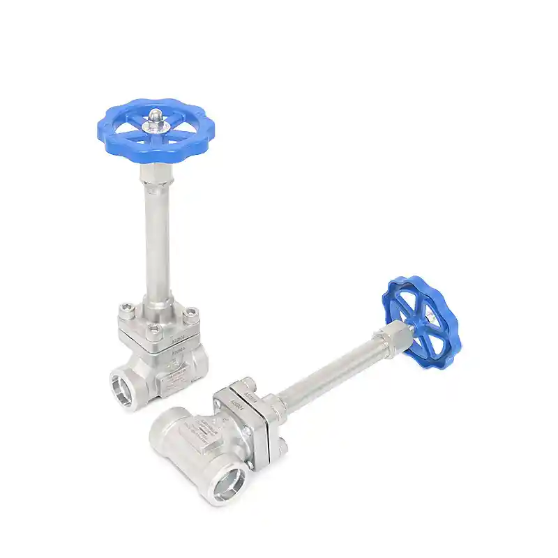 Cryogenic Extended Shaft Globe Valves