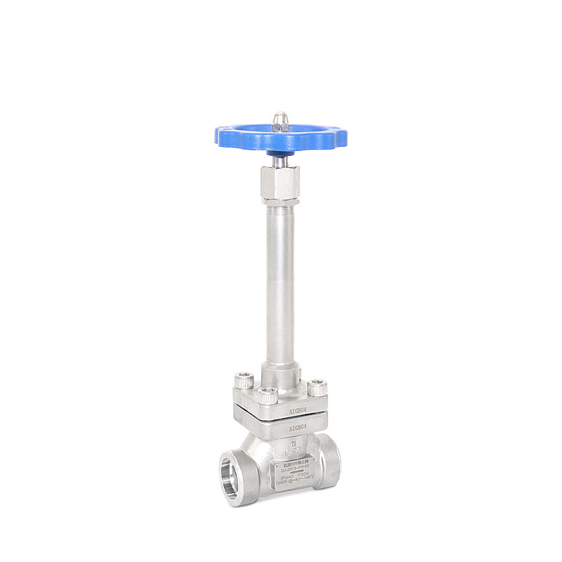 Cryogenic Extended Shaft Globe Valves