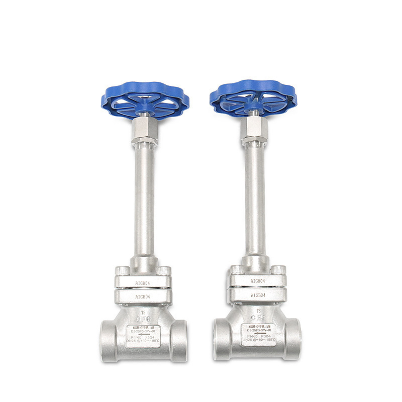 Cryogenic Extended Shaft Globe Valves