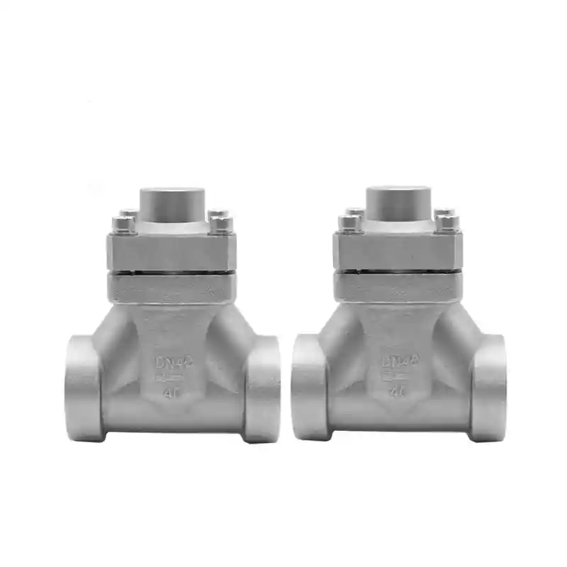 Cryogenic Check Valves