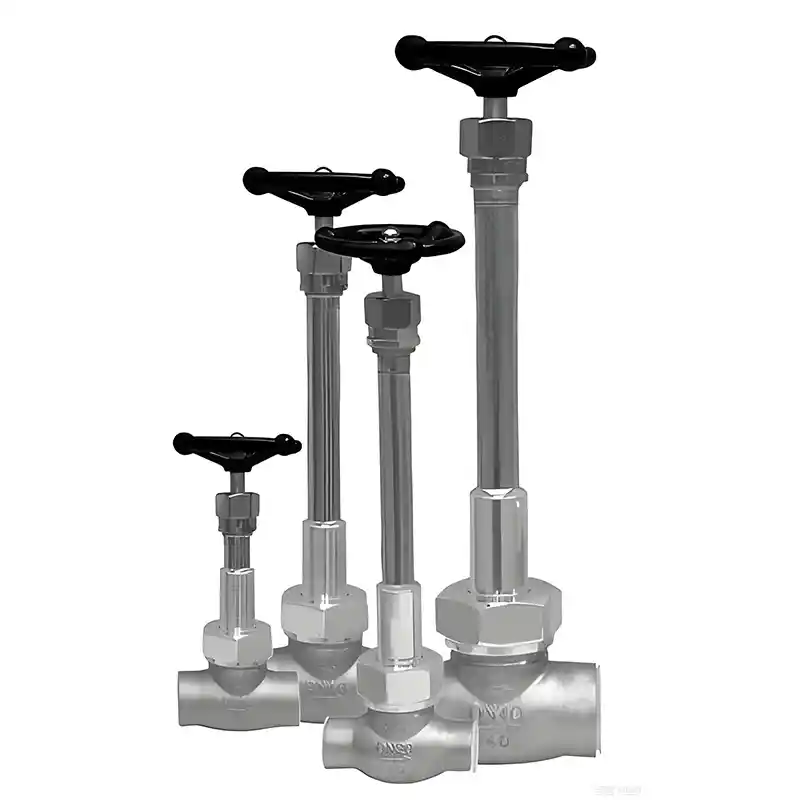 Structural Design of Cryogenic Globe Valves