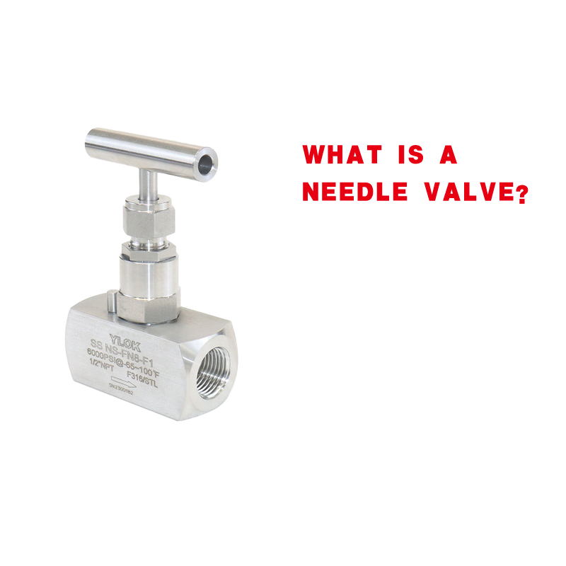 What is a Needle Valve？